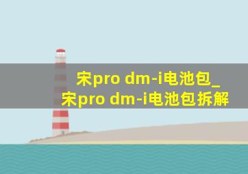 宋pro dm-i电池包_宋pro dm-i电池包拆解